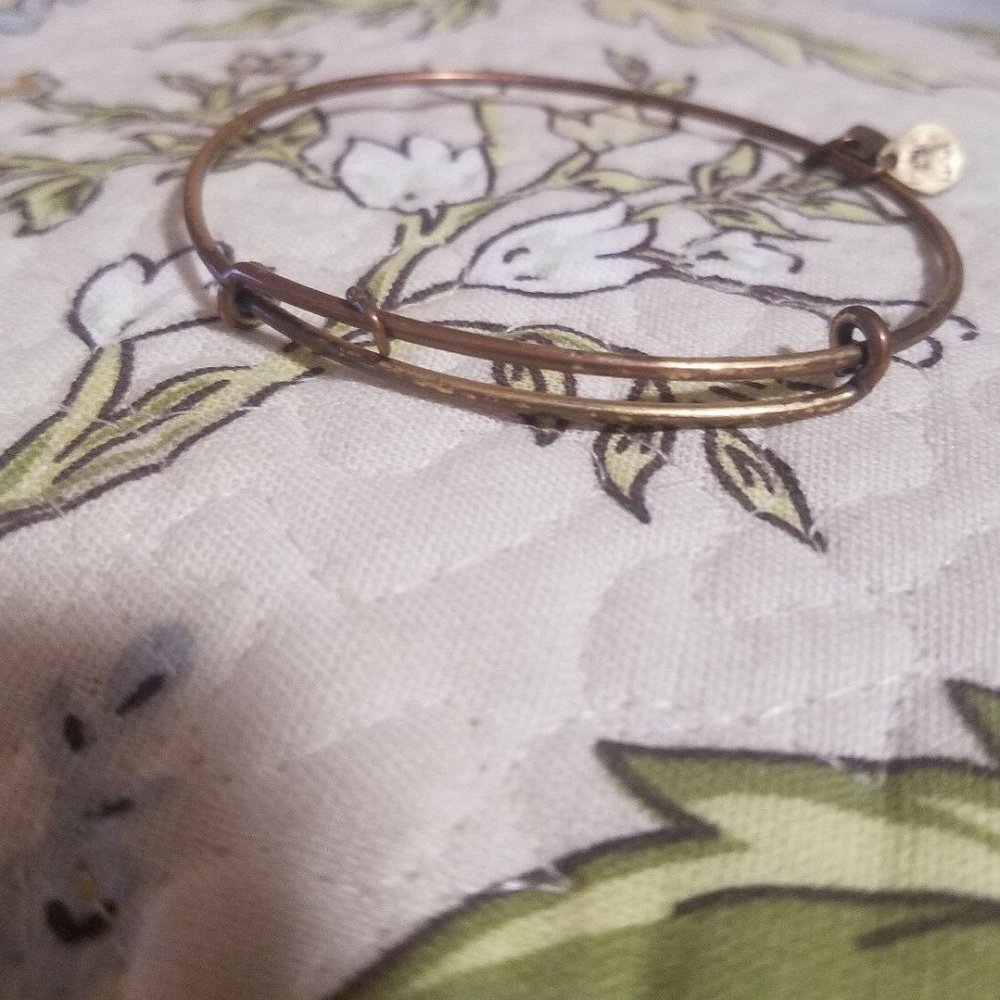 Alex and Ani Layering Plain Gold Bracelet Bangle